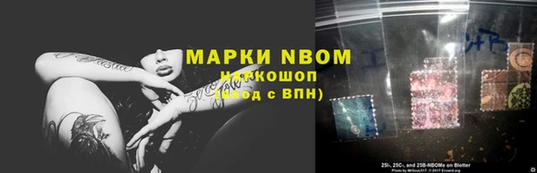 стаф Новокубанск