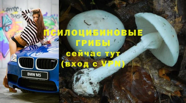 гидра Алзамай