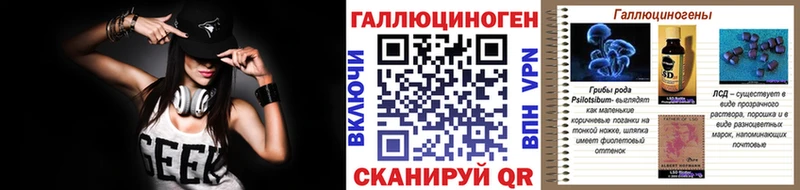 Псилоцибиновые грибы Magic Shrooms  магазин продажи   Курчалой 