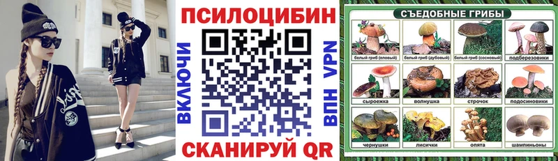 Псилоцибиновые грибы мицелий Курчалой