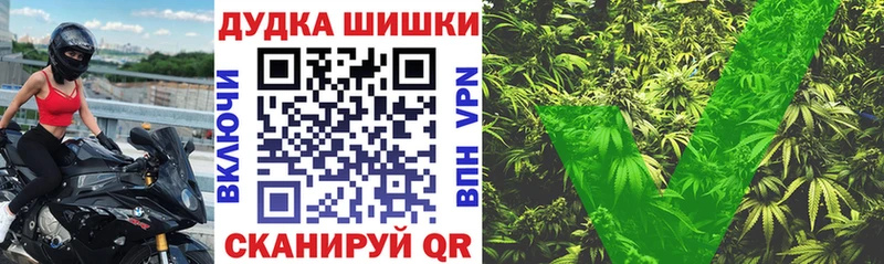 где продают Курчалой Марихуана Amnesia